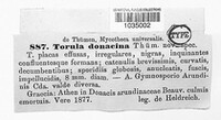 Apiospora arundinis image